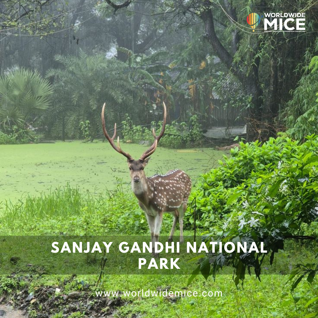 Sanjay Gandhi National Park